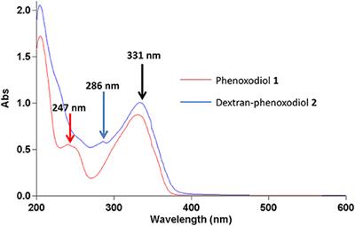 Synthesis of Dextran–Phenoxodiol and Evaluation of Its Physical Stability and Biological Activity